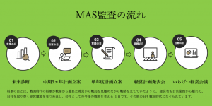 mas監査980px-480px